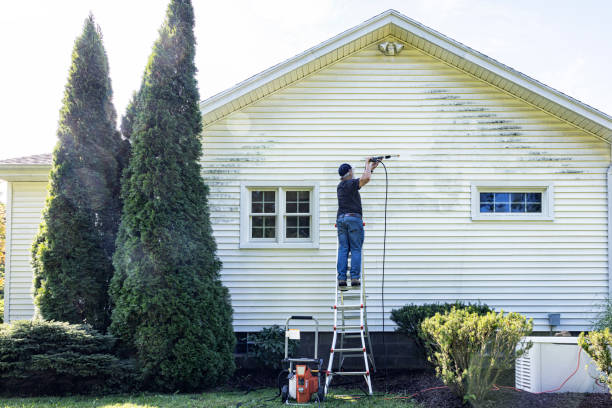 Best Fence Cleaning  in Jasper, FL